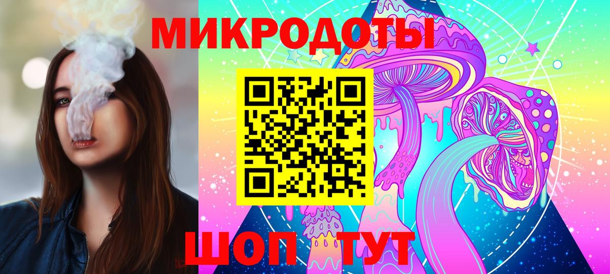Галлюциногенные грибы Psilocybe Чебоксары