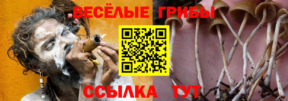 Чебоксары  Галлюциногенные грибы мухоморы  Вход с VPN 